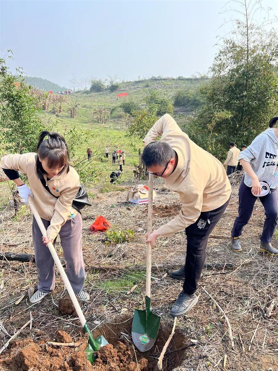 AG Club | The Originator of Live Casino