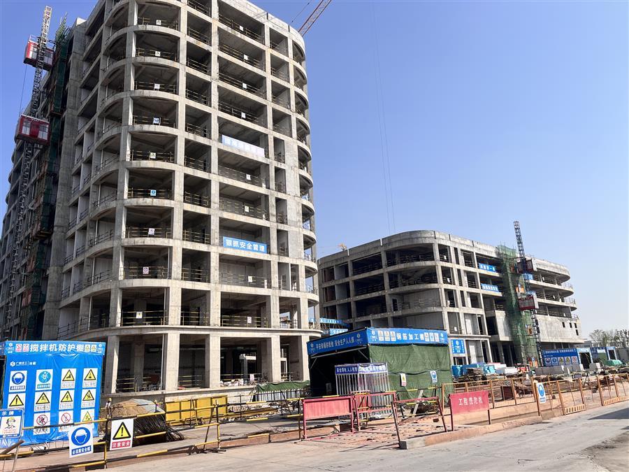 AG Club | The Originator of Live Casino