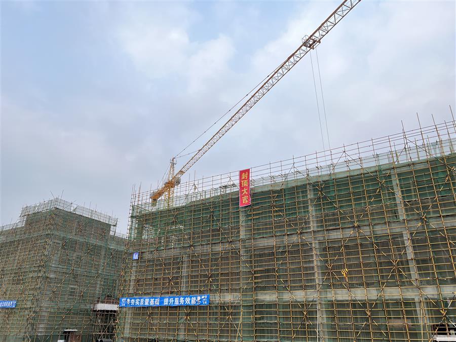 AG Club | The Originator of Live Casino