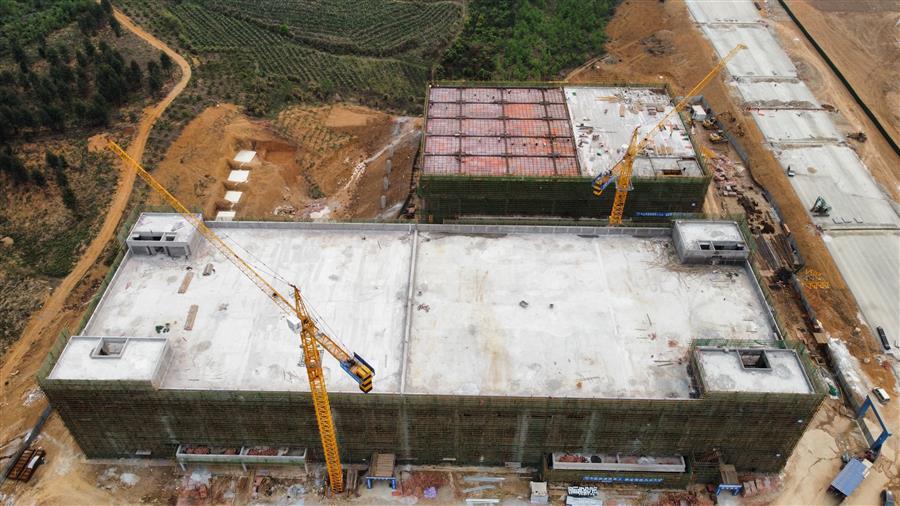 AG Club | The Originator of Live Casino