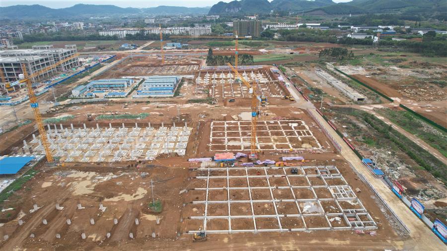 AG Club | The Originator of Live Casino