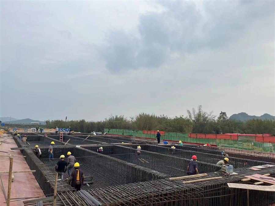 AG Club | The Originator of Live Casino