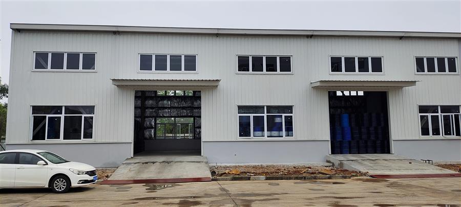 AG Club | The Originator of Live Casino