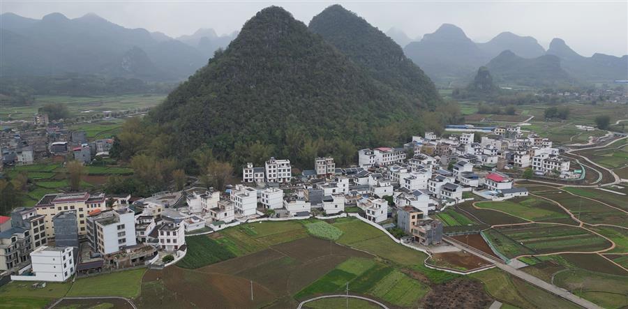 AG Club | The Originator of Live Casino