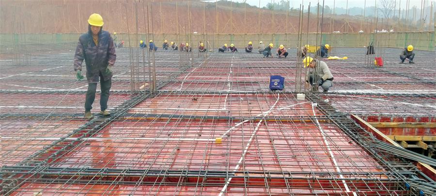 AG Club | The Originator of Live Casino