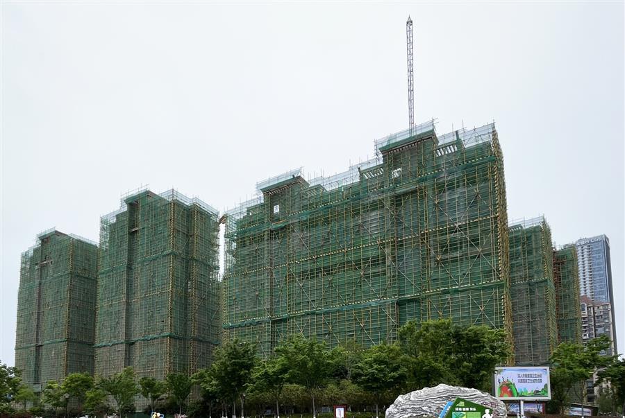 AG Club | The Originator of Live Casino