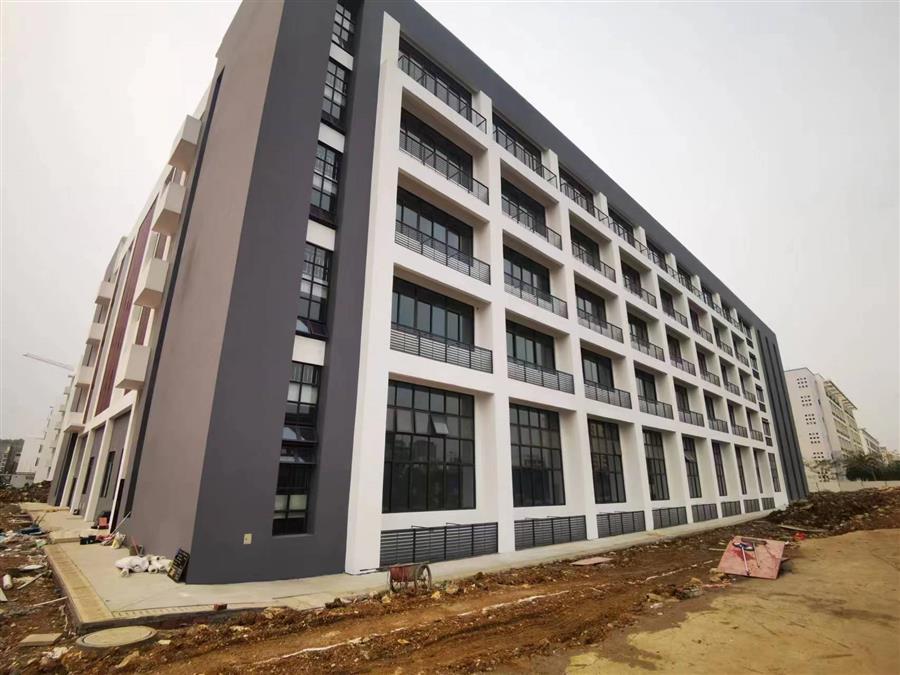 AG Club | The Originator of Live Casino