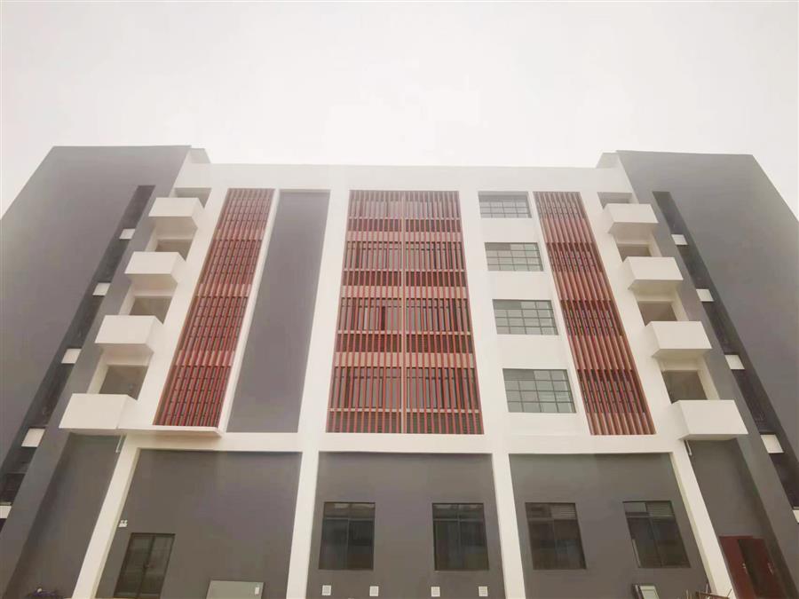 AG Club | The Originator of Live Casino