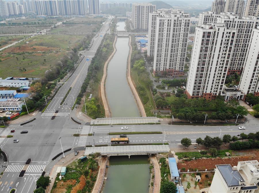 AG Club | The Originator of Live Casino