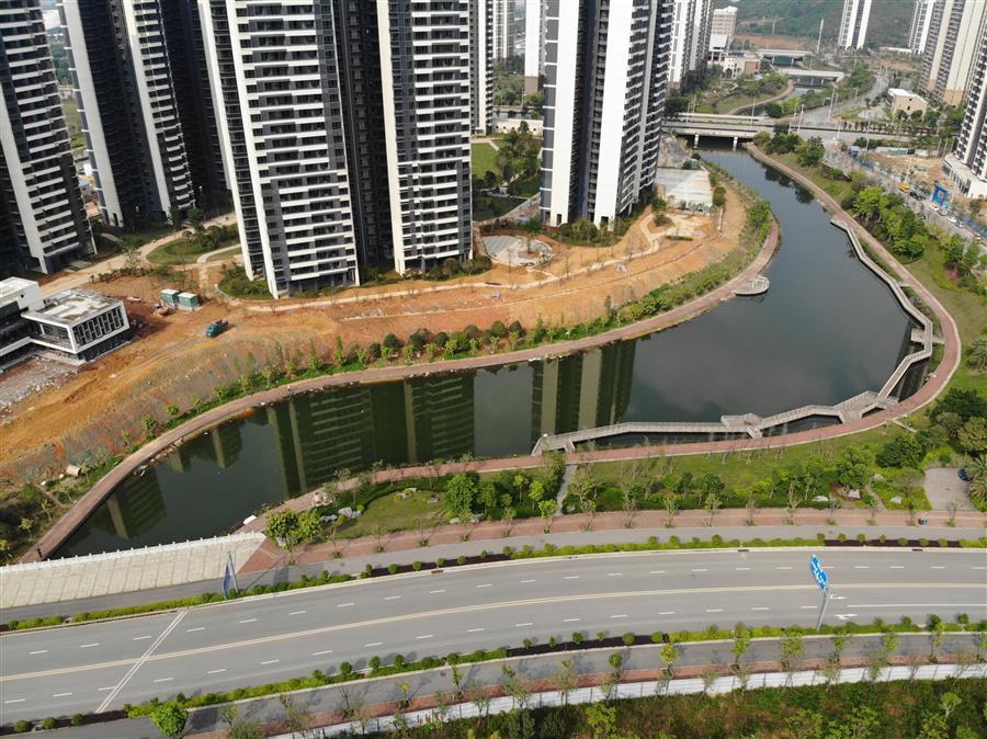 AG Club | The Originator of Live Casino