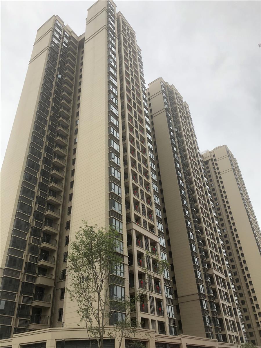 AG Club | The Originator of Live Casino