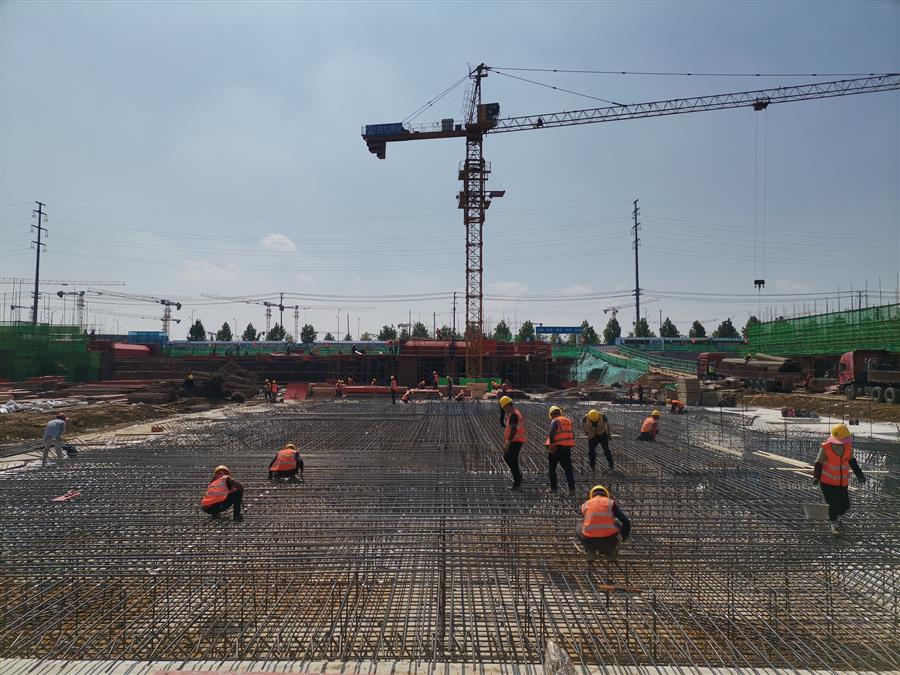 AG Club | The Originator of Live Casino