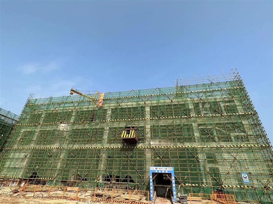 AG Club | The Originator of Live Casino