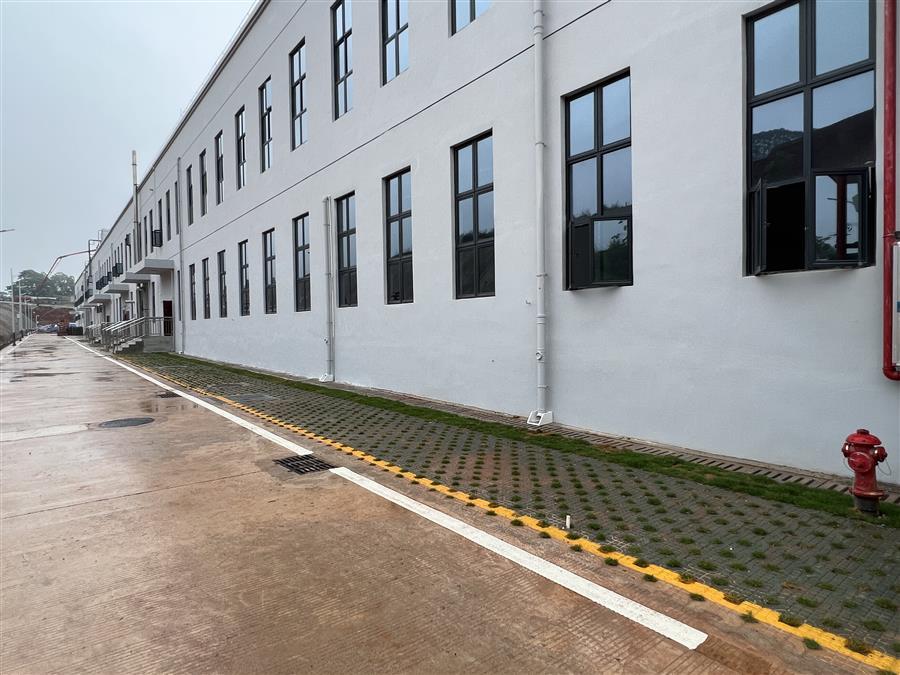 AG Club | The Originator of Live Casino