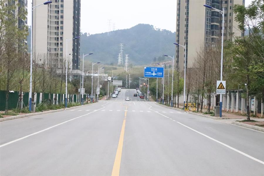 AG Club | The Originator of Live Casino