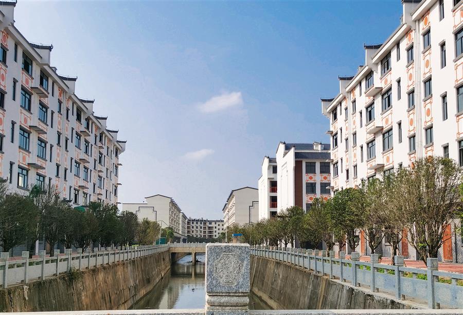 AG Club | The Originator of Live Casino