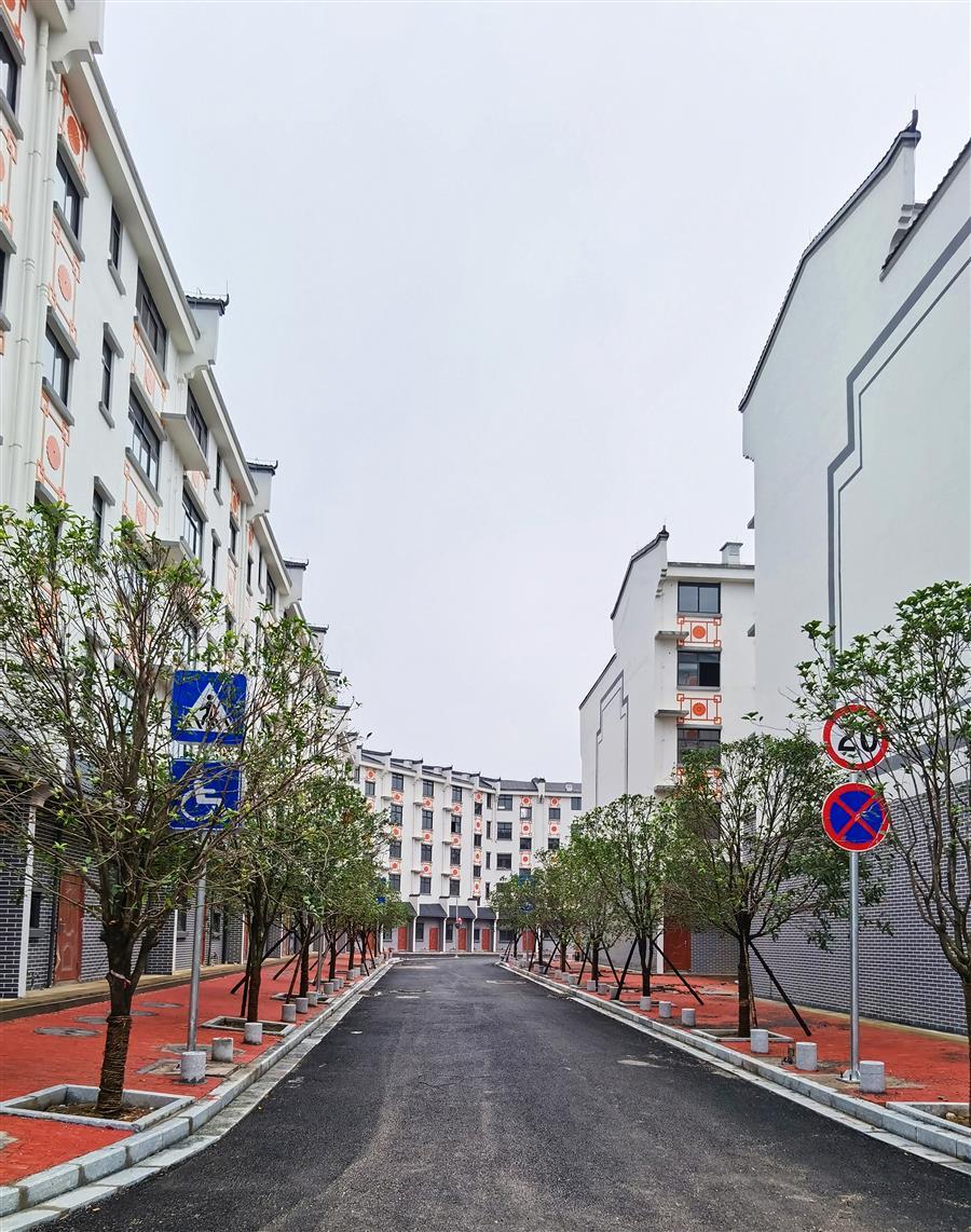 AG Club | The Originator of Live Casino