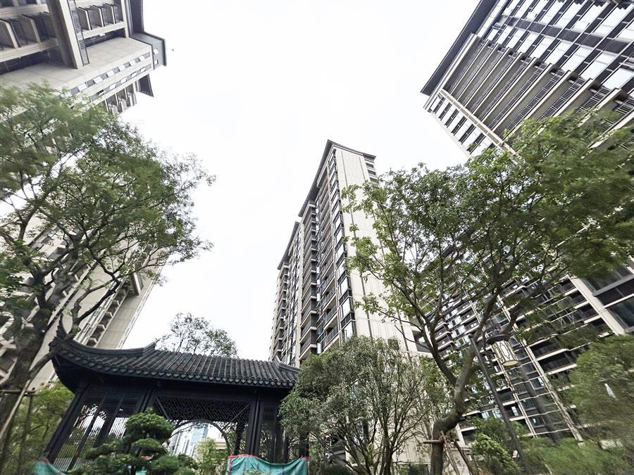 AG Club | The Originator of Live Casino