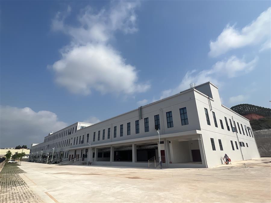 AG Club | The Originator of Live Casino