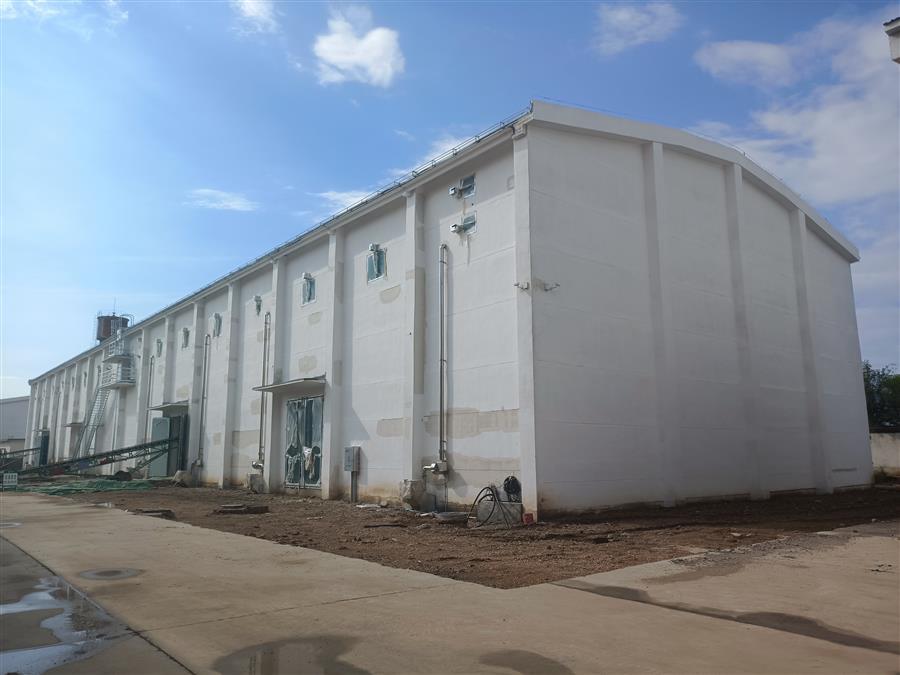 AG Club | The Originator of Live Casino