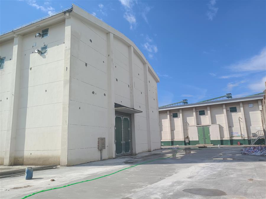 AG Club | The Originator of Live Casino