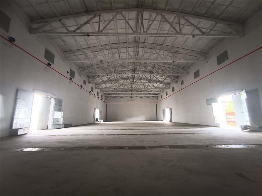 AG Club | The Originator of Live Casino