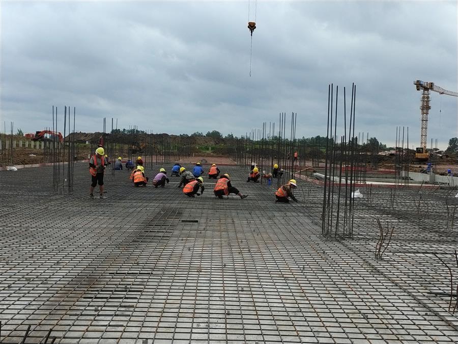 AG Club | The Originator of Live Casino