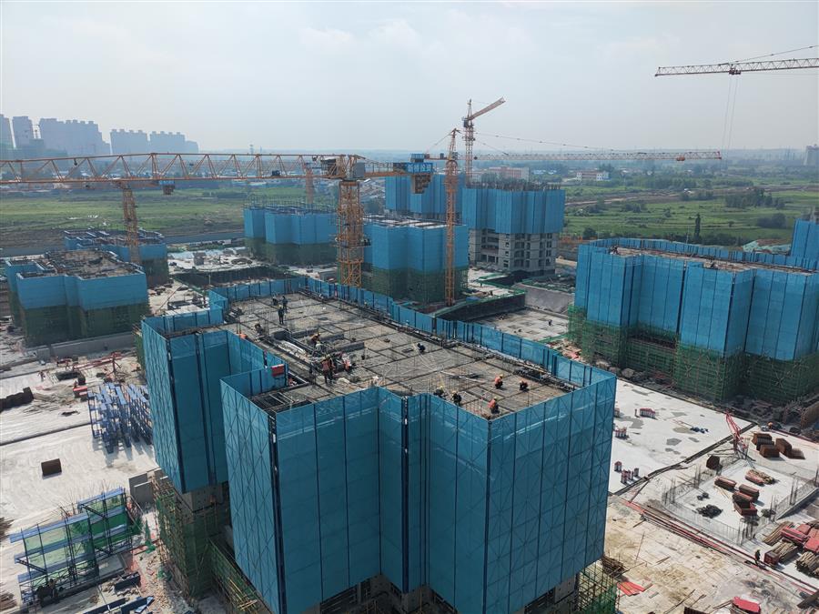 AG Club | The Originator of Live Casino