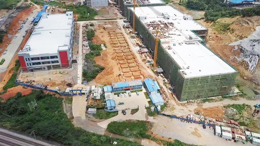 AG Club | The Originator of Live Casino