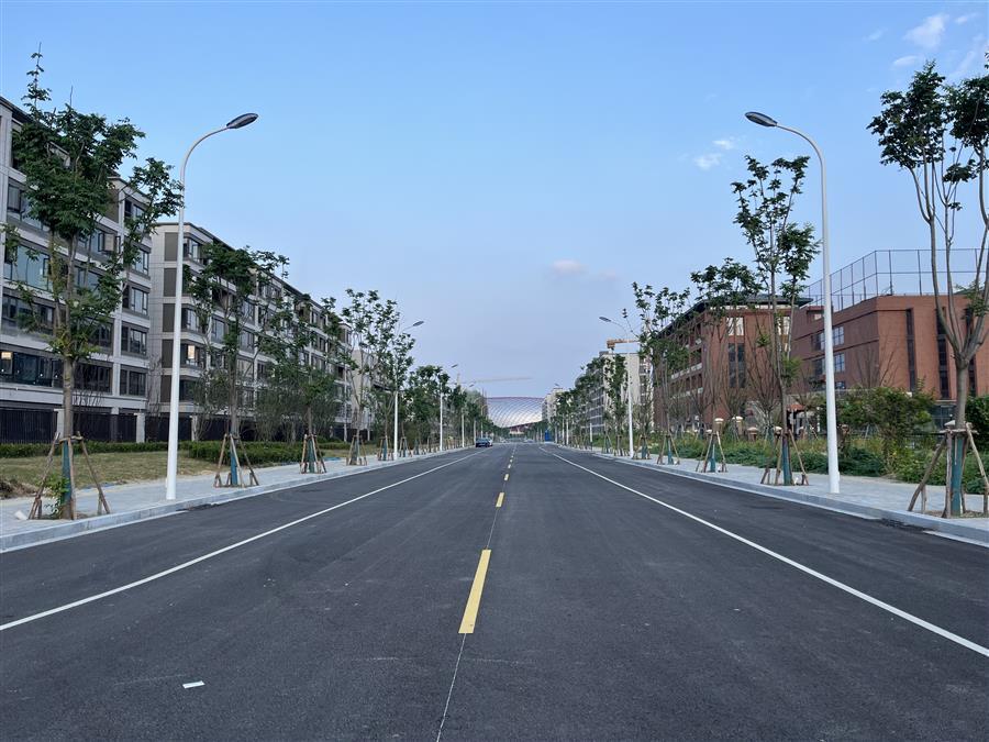 AG Club | The Originator of Live Casino