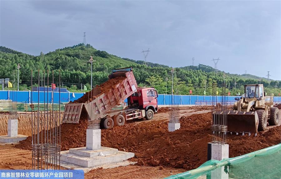 AG Club | The Originator of Live Casino