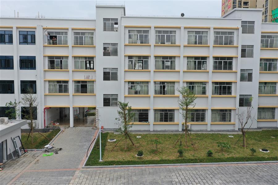 AG Club | The Originator of Live Casino