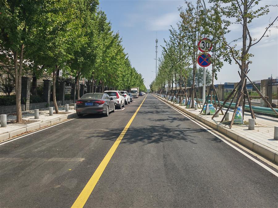 AG Club | The Originator of Live Casino