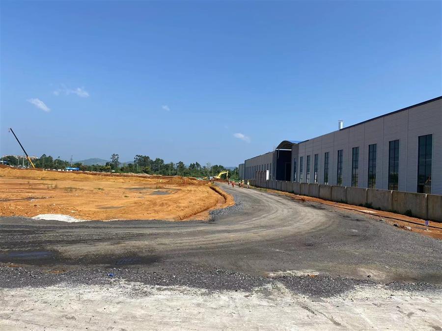 AG Club | The Originator of Live Casino