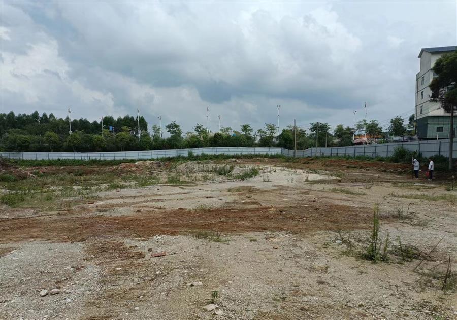 AG Club | The Originator of Live Casino