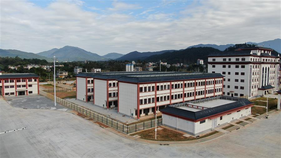 AG Club | The Originator of Live Casino