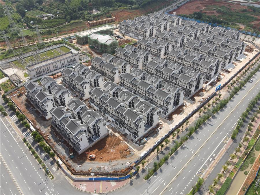 AG Club | The Originator of Live Casino