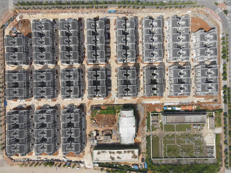 AG Club | The Originator of Live Casino