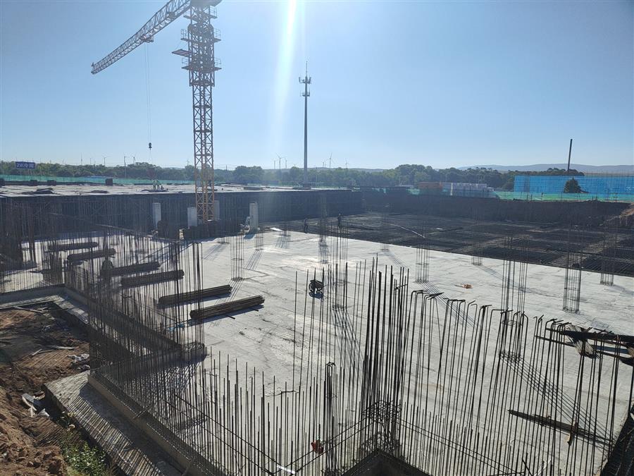 AG Club | The Originator of Live Casino