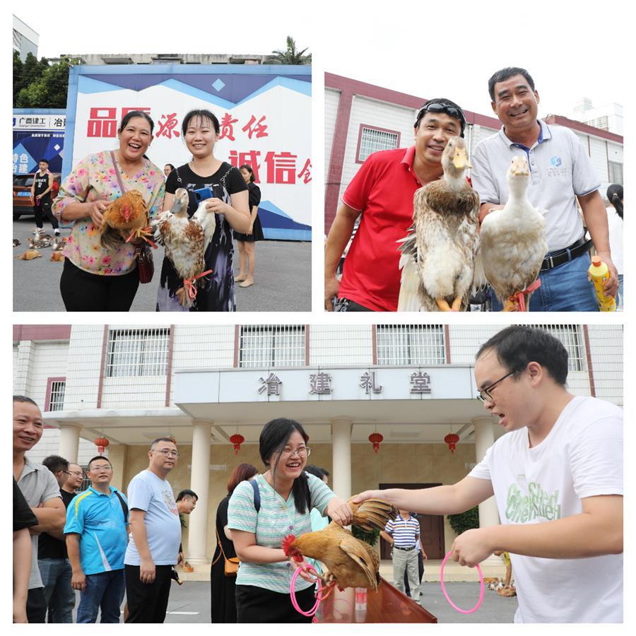 AG Club | The Originator of Live Casino