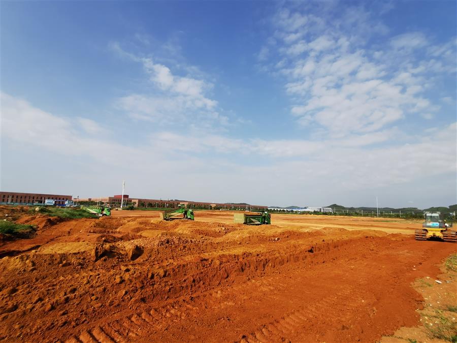 AG Club | The Originator of Live Casino