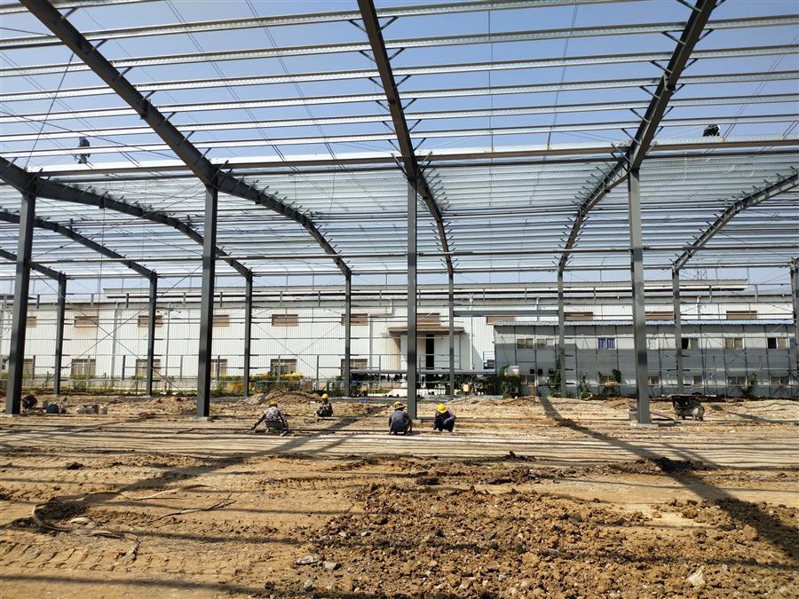 AG Club | The Originator of Live Casino