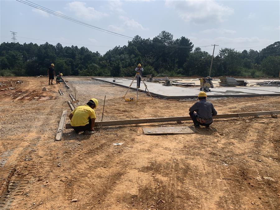 AG Club | The Originator of Live Casino