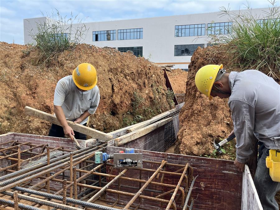 AG Club | The Originator of Live Casino