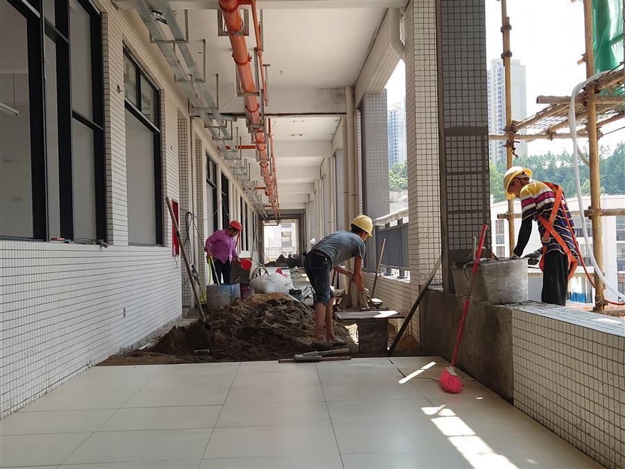 AG Club | The Originator of Live Casino