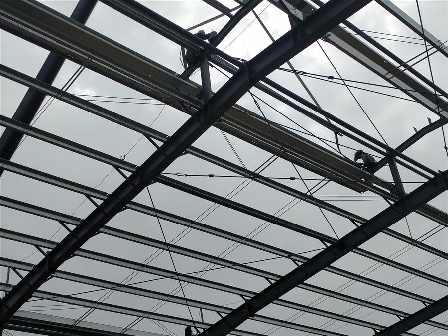 AG Club | The Originator of Live Casino