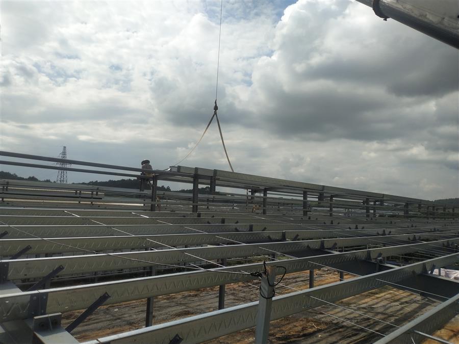 AG Club | The Originator of Live Casino