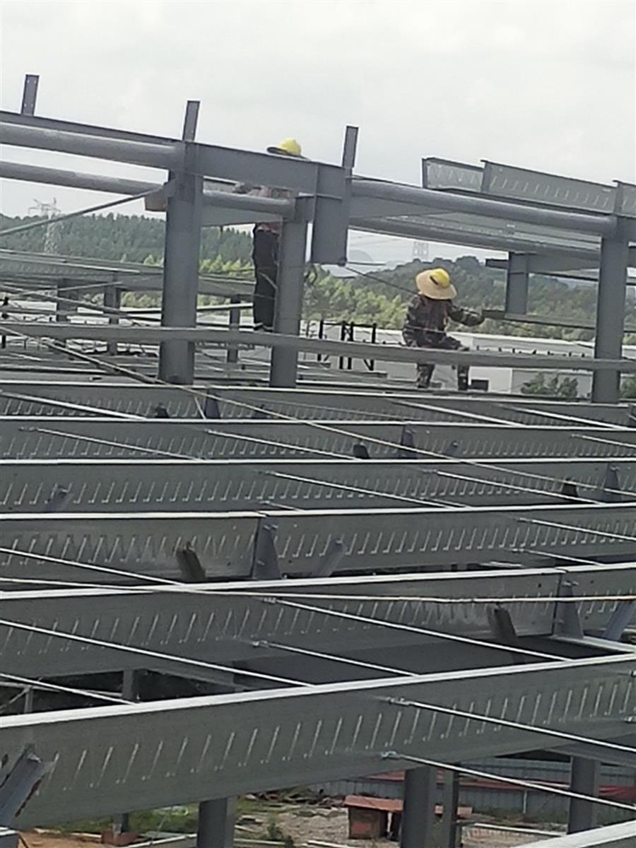 AG Club | The Originator of Live Casino