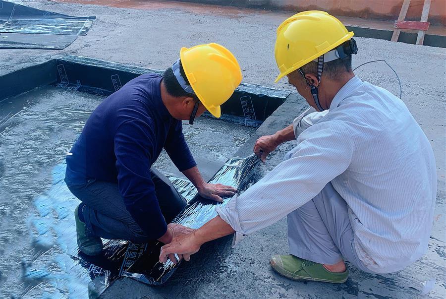 AG Club | The Originator of Live Casino