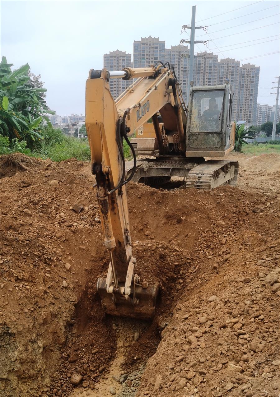 AG Club | The Originator of Live Casino